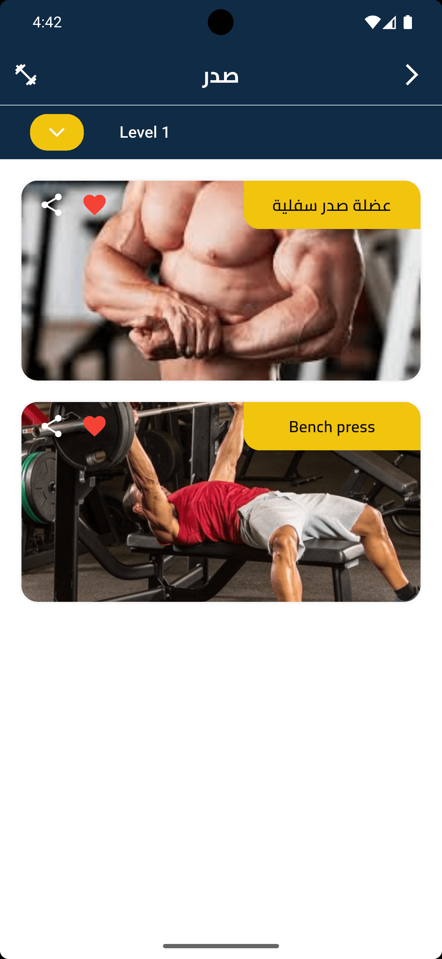 Healtho Gym - 3
